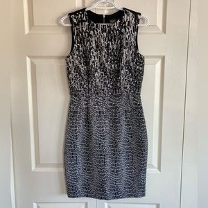 Fitted, flattering black and white dress